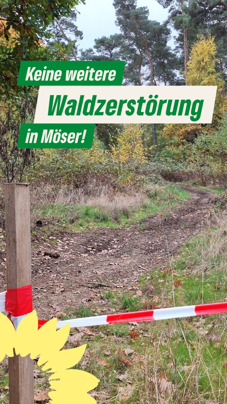 Gemeinde Möser beschließt die weitere Zerstörung eines gemeindeeigenen Waldes